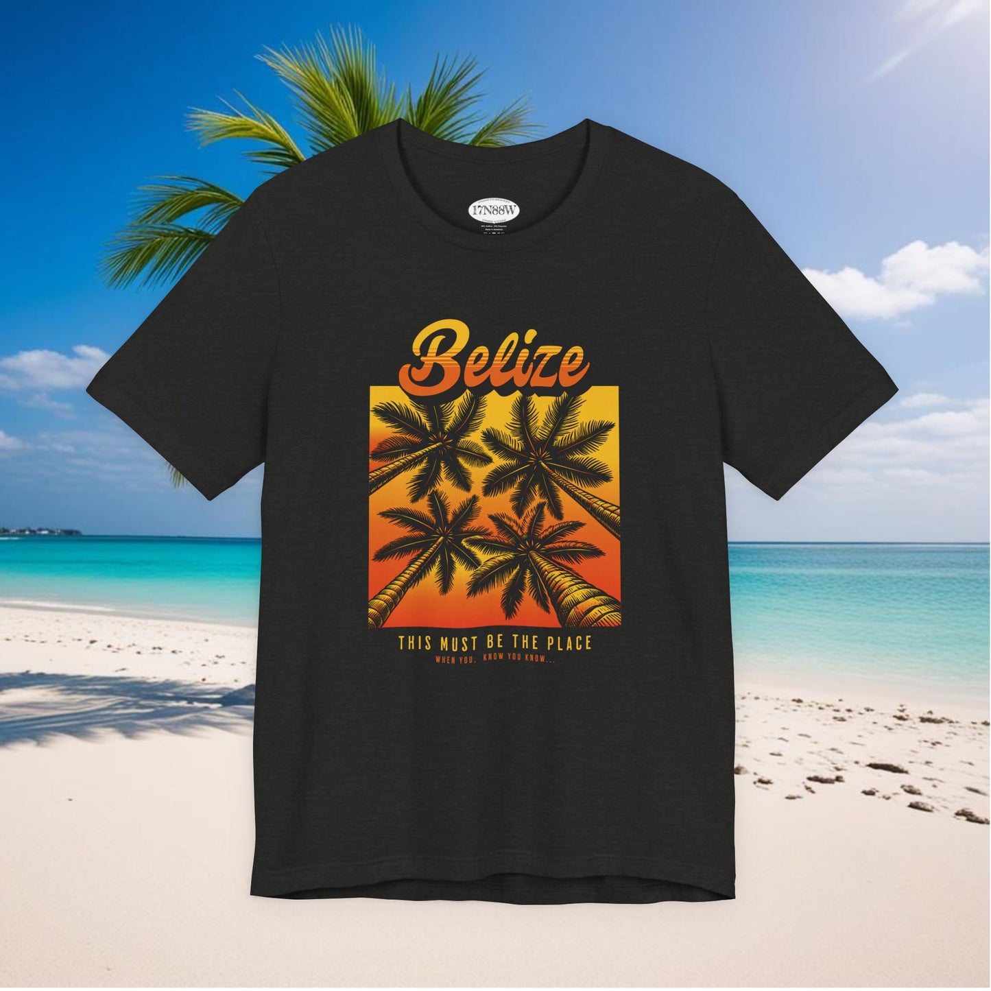 This Must Be The Place | Belize | When You Know, You Know! | Unisex T