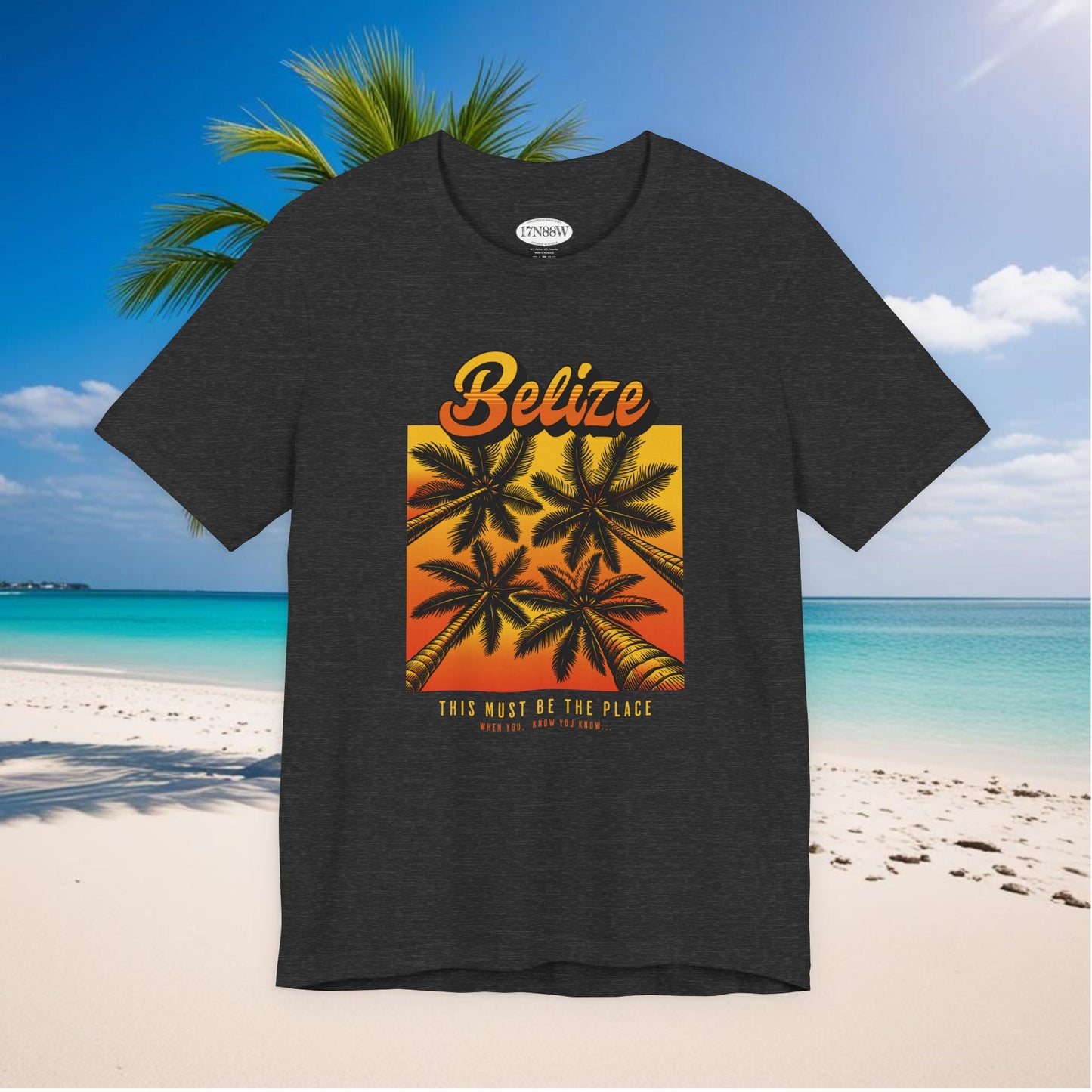 This Must Be The Place | Belize | When You Know, You Know! | Unisex T