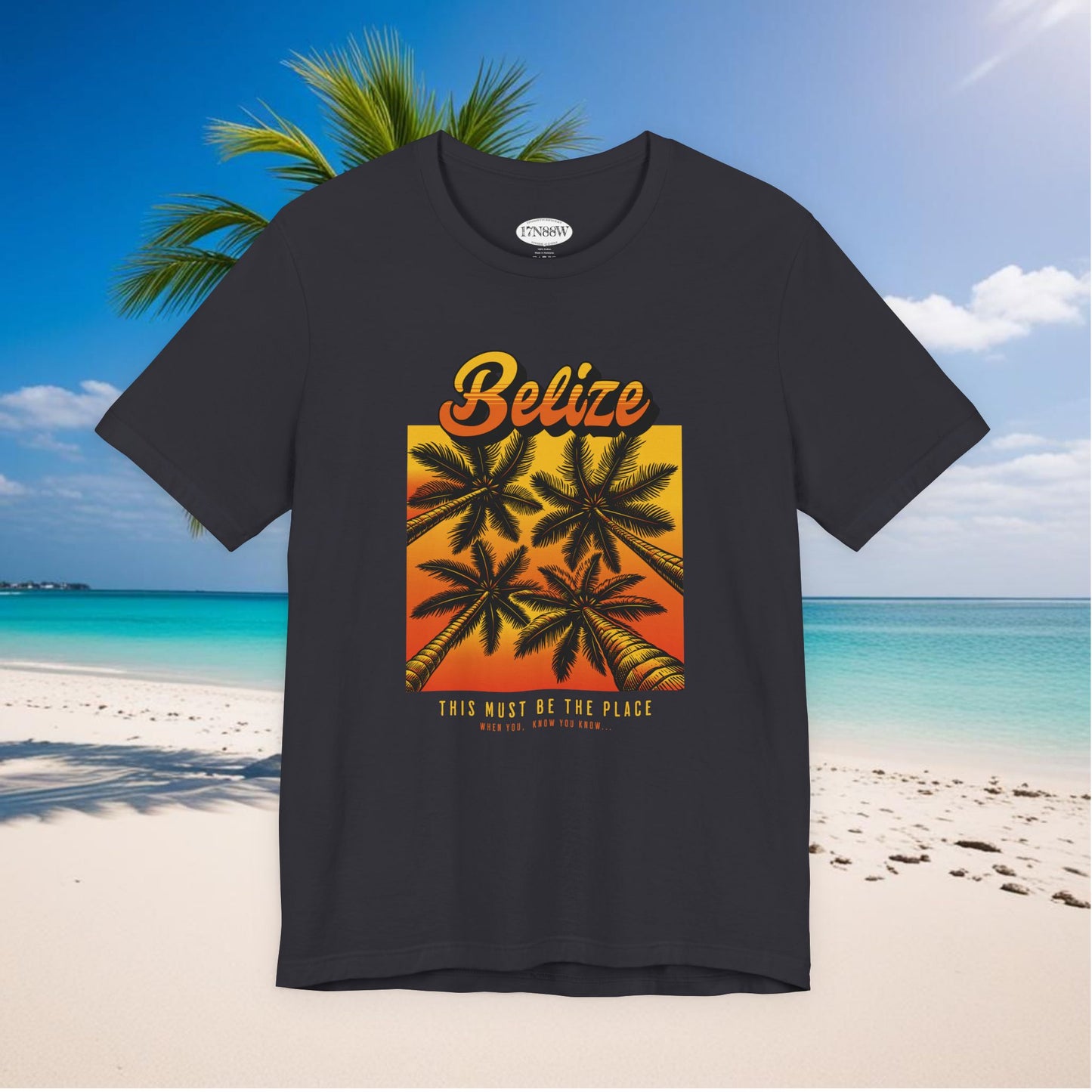 This Must Be The Place | Belize | When You Know, You Know! | Unisex T